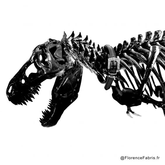 Sculpture Baby T-Rex 05 Matte Black